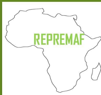 gallery/logo repremaf +++